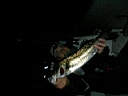 2005-10-31 006.JPG